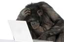 Теорема о бесконечных обезьянах: обезьяна с ноутбуком в  позе творца